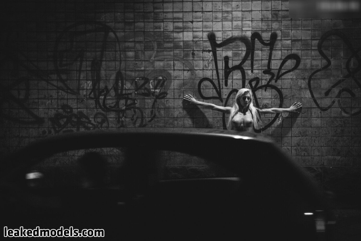 1279 Foto #161