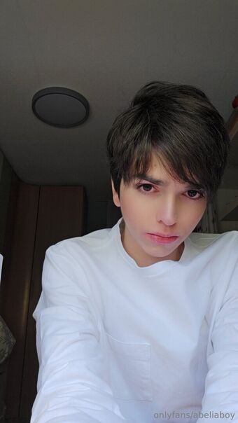 abeliaboy