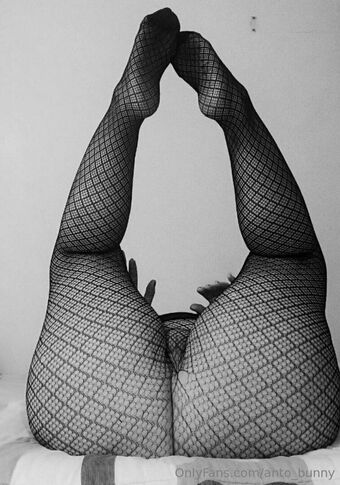 anto_bunny