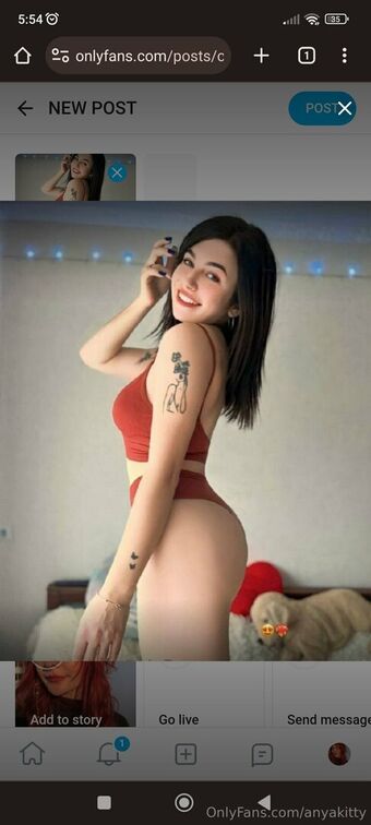 anyakitty