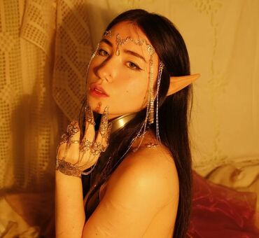 Armoured Elf