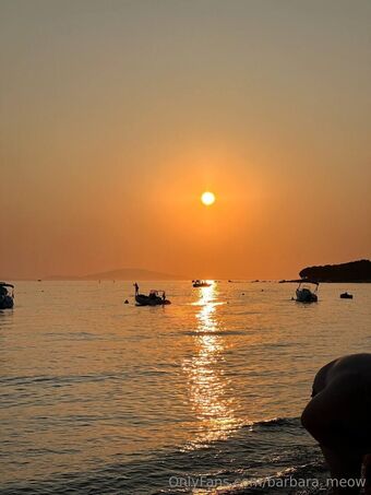 barbara_meow