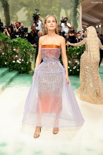 Brie Larson