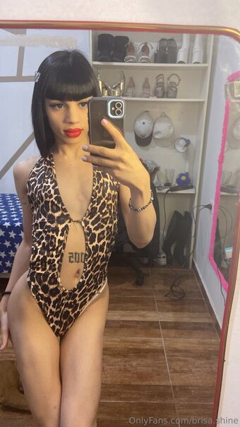 brisa.shine