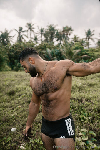 elyassorari