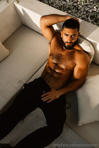 elyassorari