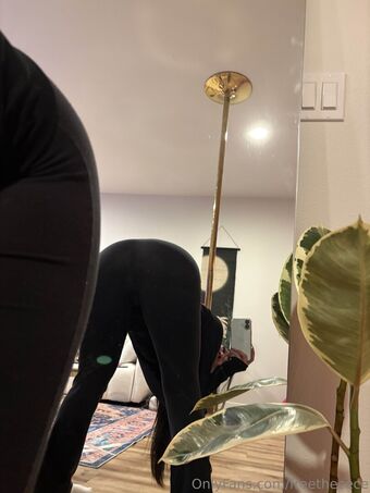 freethecece Nøgen Lækager OnlyFans Foto 29