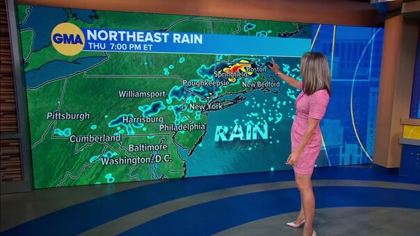 Ginger Zee
