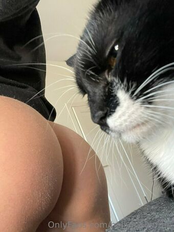 hollymoonvvip Nøgen Lækager OnlyFans Foto 3