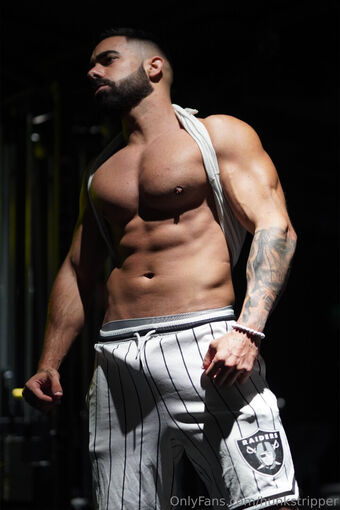 hunkstripper