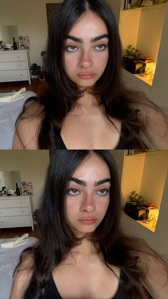 Inas Elashiry