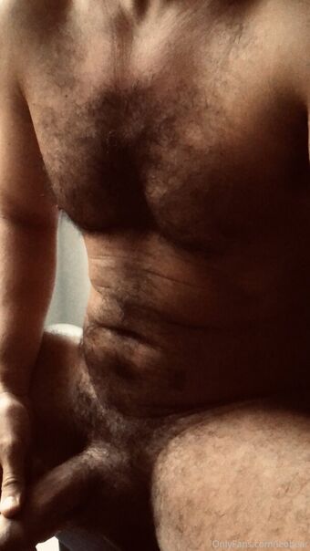 leobear