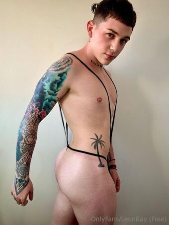 leonbay_free