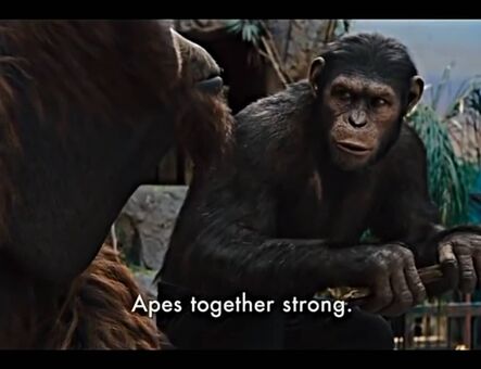 lilijunex Nøgen Lækager OnlyFans Foto 125