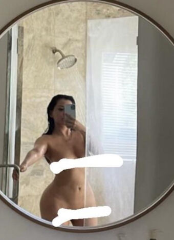 Lisiflex