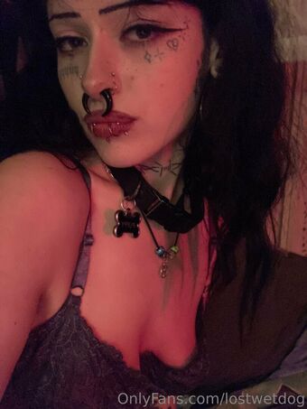 Lostwetdog