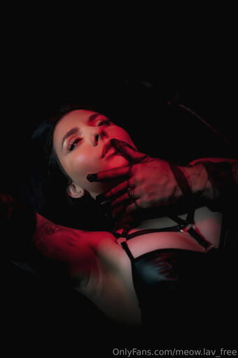 meow.lav_free