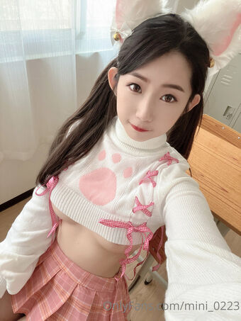 mini_0223