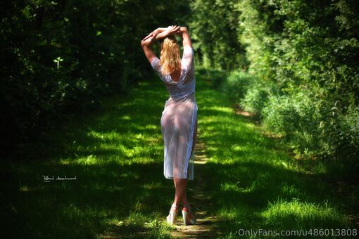 model_cladi