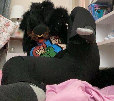 Murrsuit