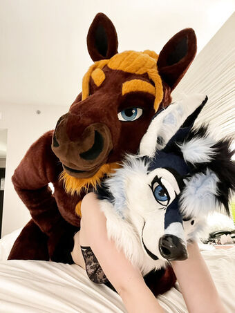 Murrsuit