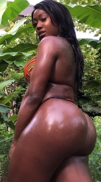 NayFit
