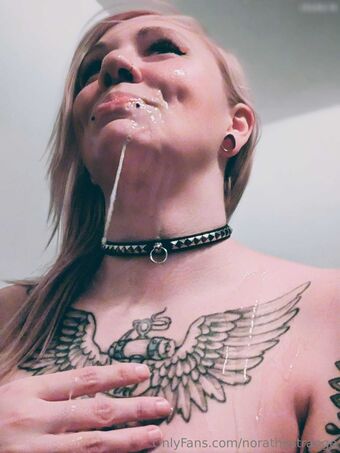norathestrange Nøgen Lækager OnlyFans Foto 26