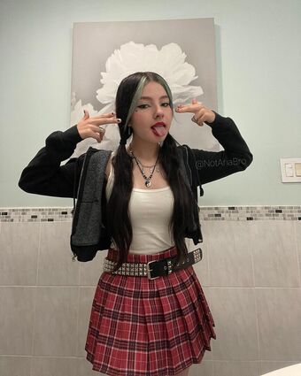 NotAriaBro
