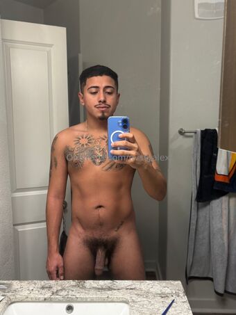 nvstyalex Nøgen Lækager OnlyFans Foto 31