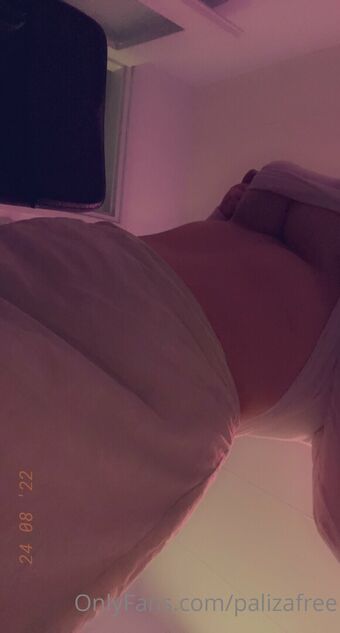 Paliza Nøgen Lækager OnlyFans Foto 54