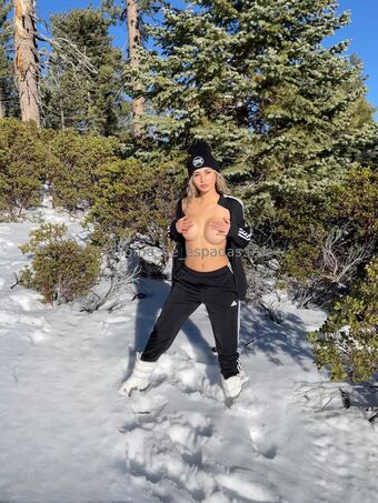 paloma_de_espadas.free