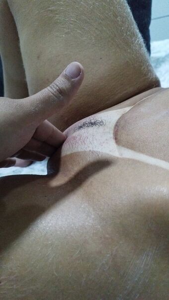 palomamilf