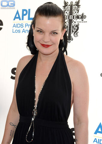 Pauley Perrette