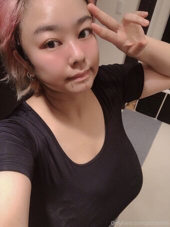 Pchan666