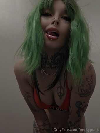 perkypunk Nøgen Lækager OnlyFans Foto 10