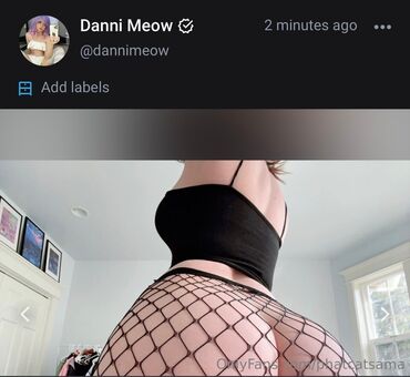 phatcatsama