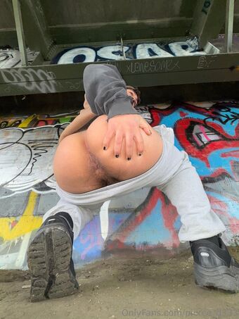pierce_d333