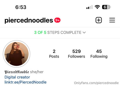 Piercednoodle