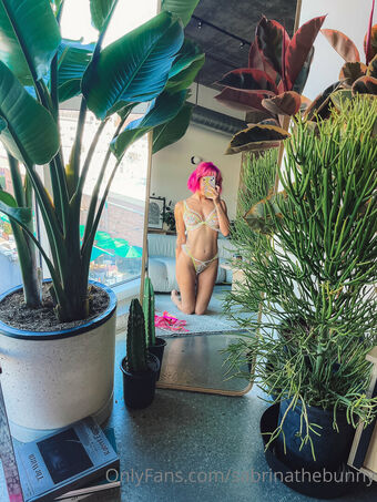 sabrinathebunny