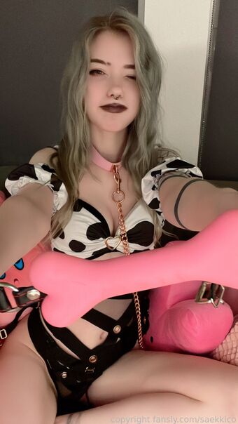 Saekki
