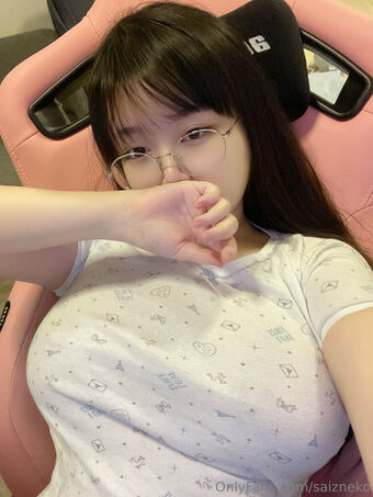Saizneko