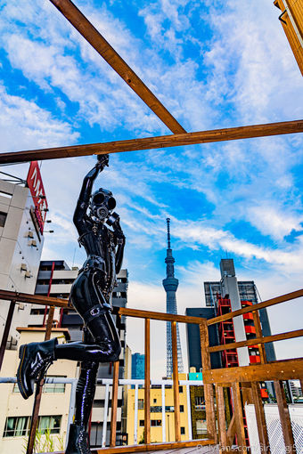 siranegi56