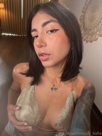 soysofia_2 Nøgen Lækager OnlyFans Foto 54