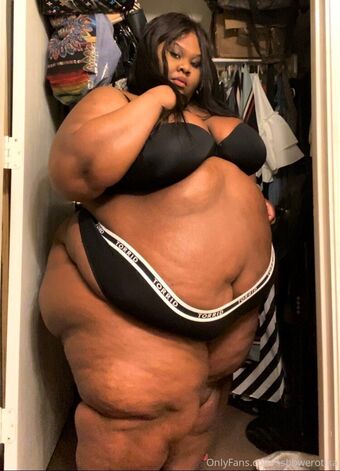 ssbbwerotika