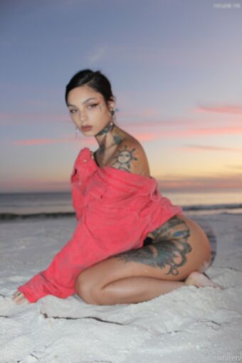Taylor White