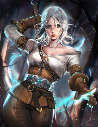 The-witcher