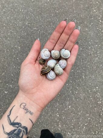 thrvsher Nøgen Lækager OnlyFans Foto 26
