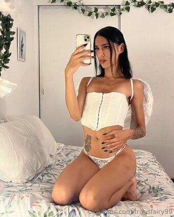 transfairy99
