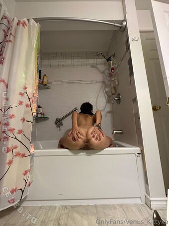 Venuskittyxo
