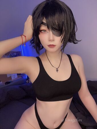 visagefox